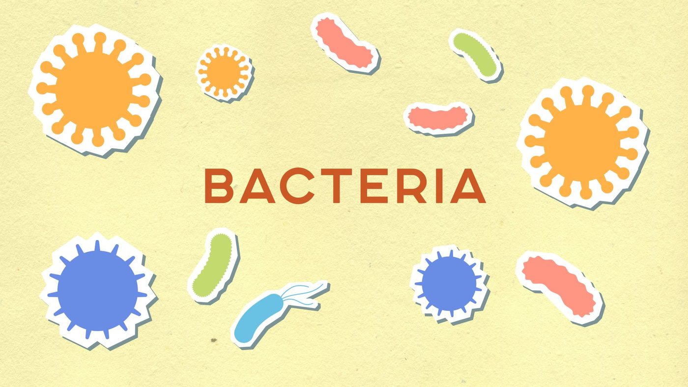 Ongebruikelijke meningitis-uitbraak in Kent veroorzaakt door genetische aanpassing van bacteriën