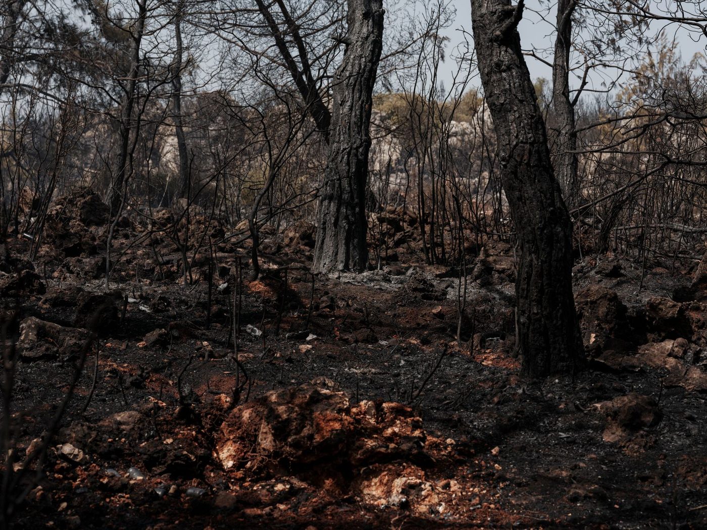 Extreme bosbranden in Europa: Tienduizenden mensen op de vlucht en recordverliezen aan natuur