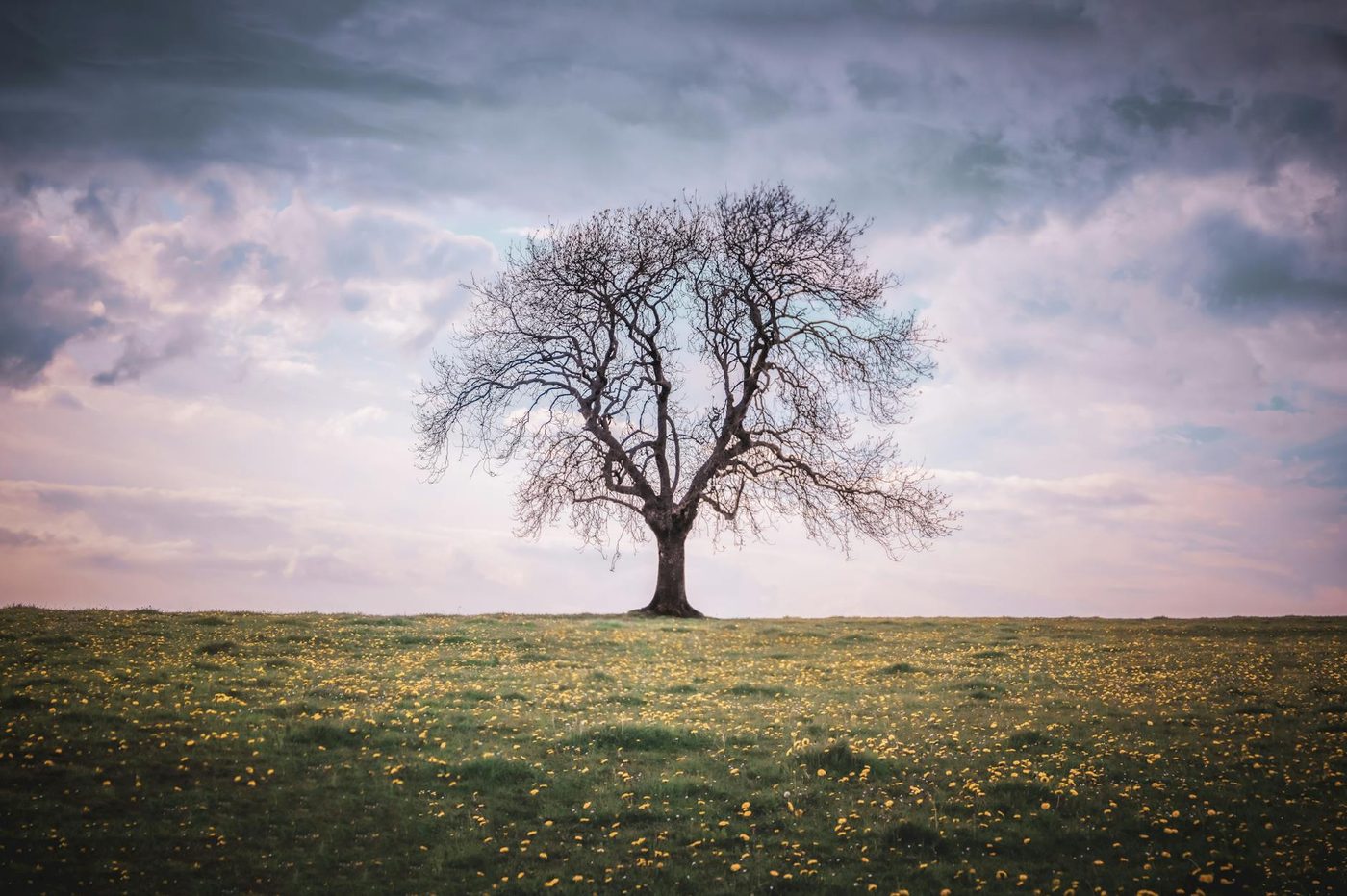 Wisselvallig Paasweekend in België en Nederland: Zon en buien wisselen elkaar af