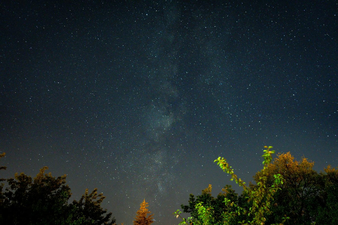Zeldzame komeet Pan-STARRS keert terug na 170.000 jaar en is deze maand zichtbaar