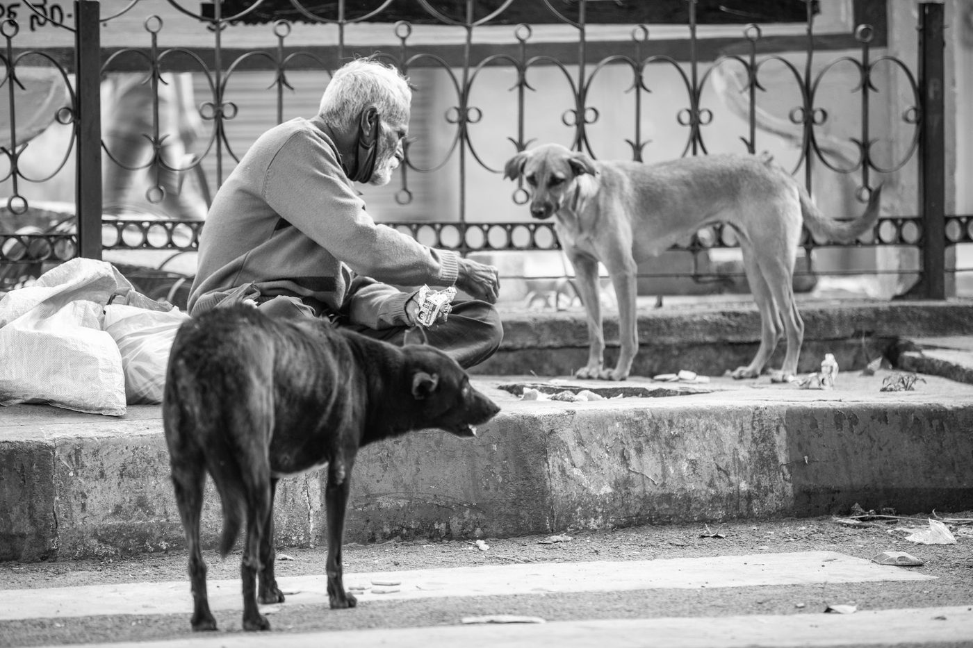 Honden kunnen emoties van mensen aflezen uit gezichtsuitdrukkingen