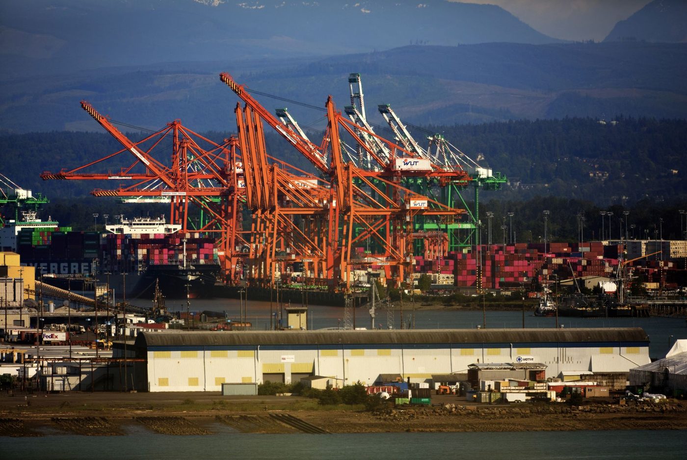 Bijna de helft van de douanescanners in Antwerpse haven buiten gebruik