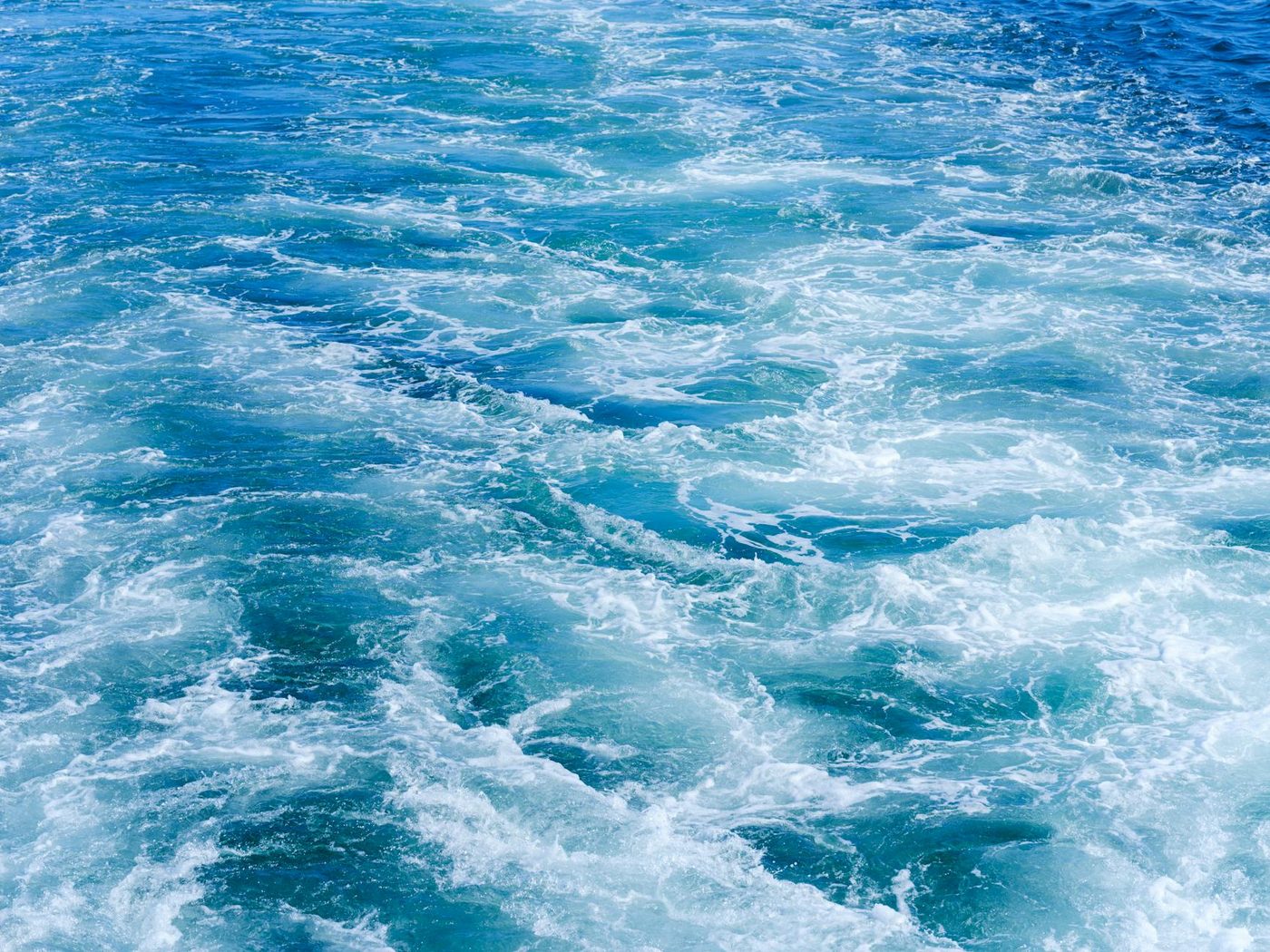 ‘Vies’ en ‘walgelijk’, vindt Trump: president laat spiegelvijver bij Lincoln Memorial blauw schilderen, dat plan stuit op kritiek