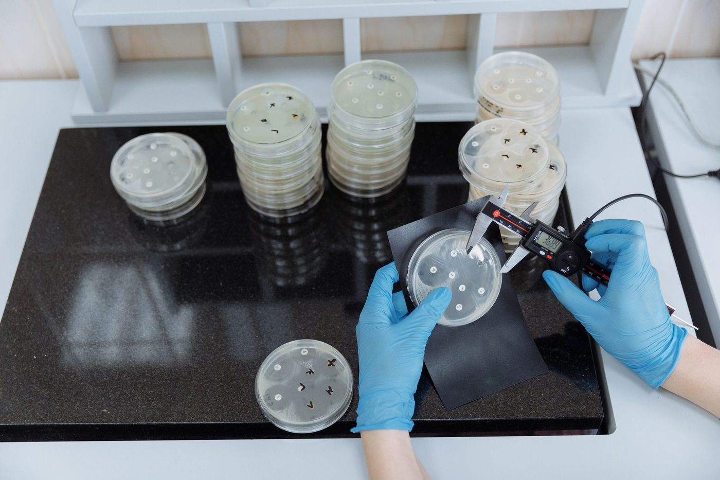 Bio-hybride systemen: Menselijke hersenorganoïden herkennen Braille-tekens