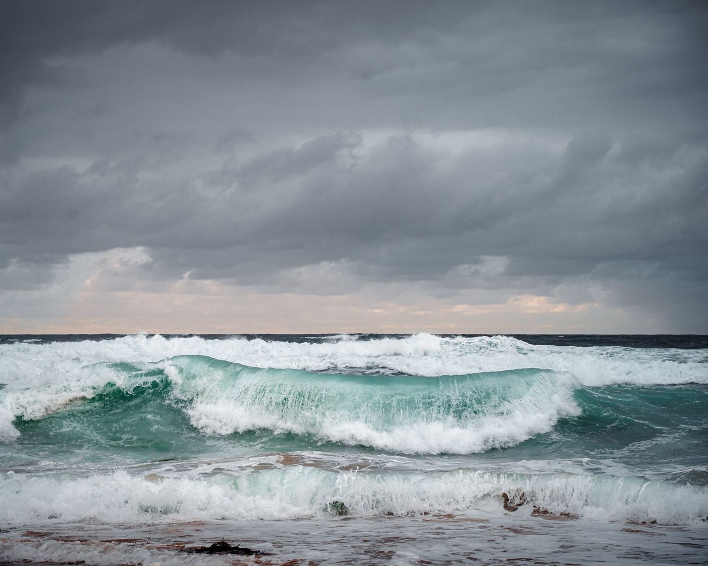 Haai dodelijk aan westkust Australië: stranden dicht, surfers en zwemmers geweerd