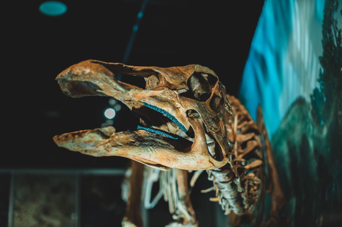 Genetische data dagen traditionele visie op macht van prehistorische vrouwen uit