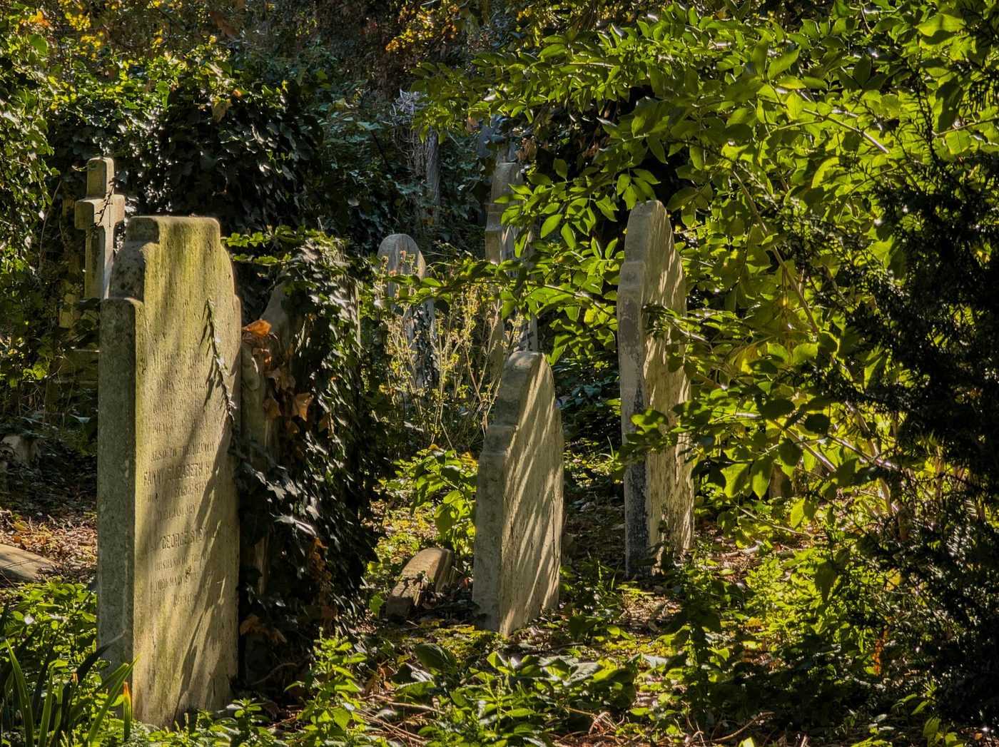 Vlaamse Regels Rond Begraafplaatsen en Lijkbezorging Aan Herziening Toe