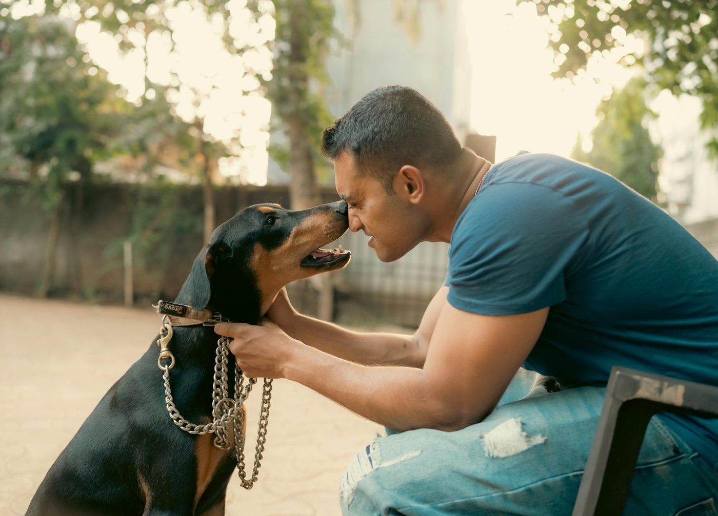 DNA-doorbraak onthult: honden waren al 15.800 jaar geleden partners van de mens