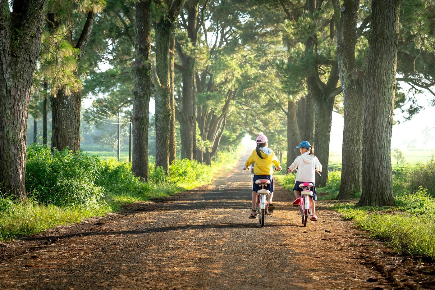 Franse Kinderen Alleen Aangetroffen op Afgelegen Weg in Portugal