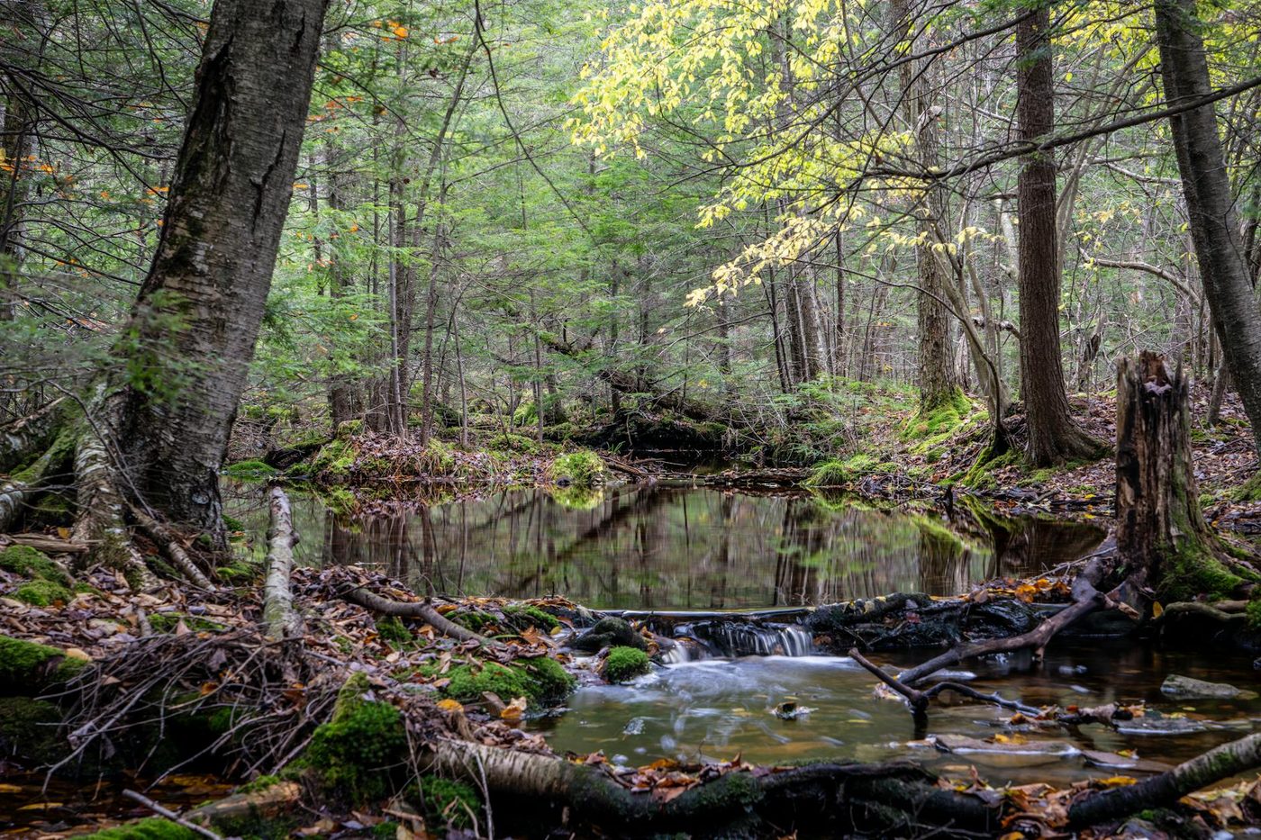 Tientallen verborgen sterrenstromen ontdekt in buitengebieden Melkweg