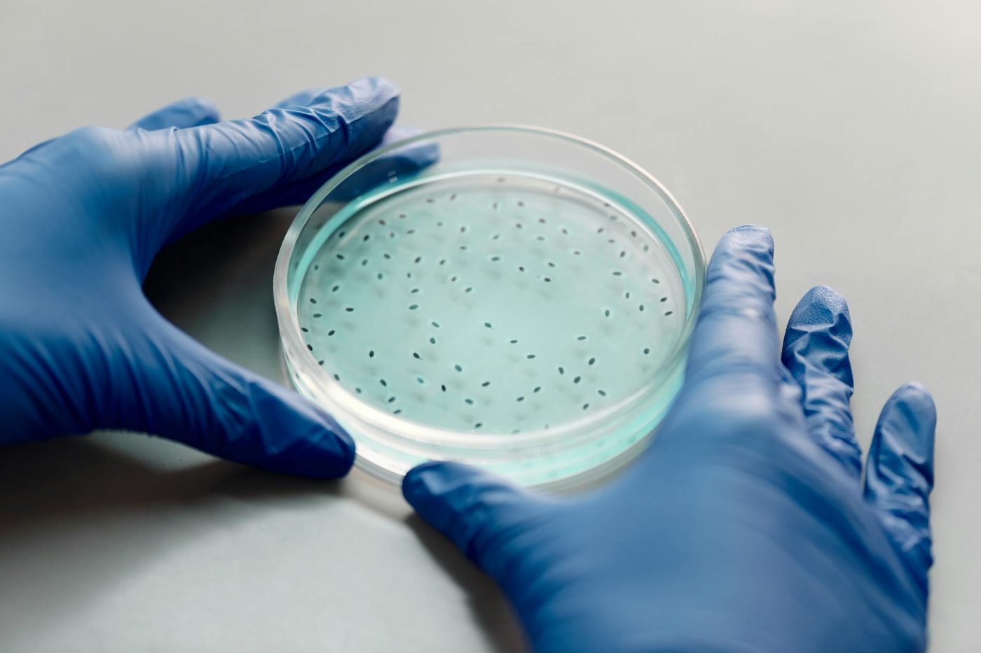 BioPRM ontwikkeld voor nauwkeurige verificatie van biologische protocollen