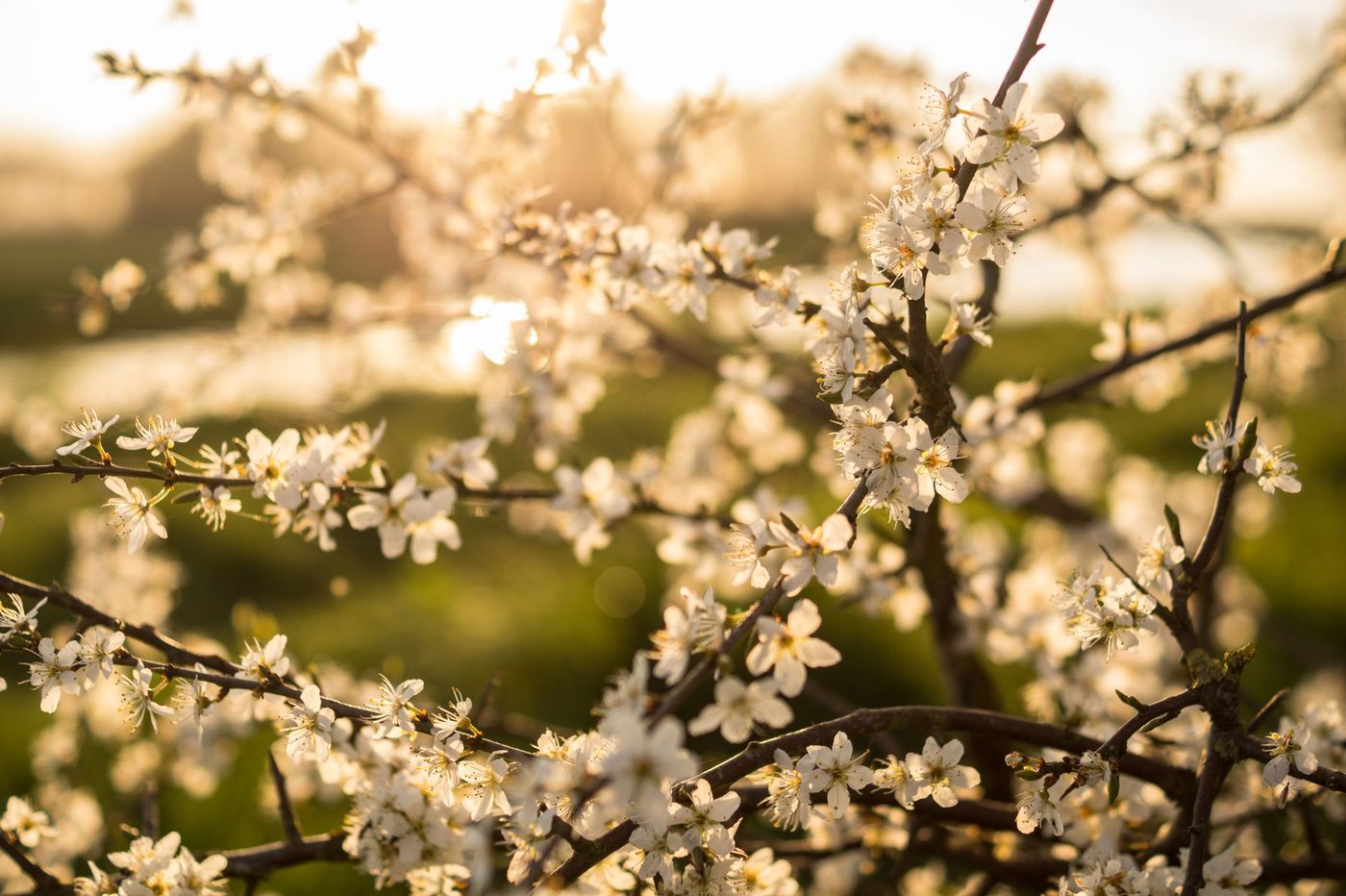 Zon tot 19 graden vandaag: dit maakt de dag zo aangenaam