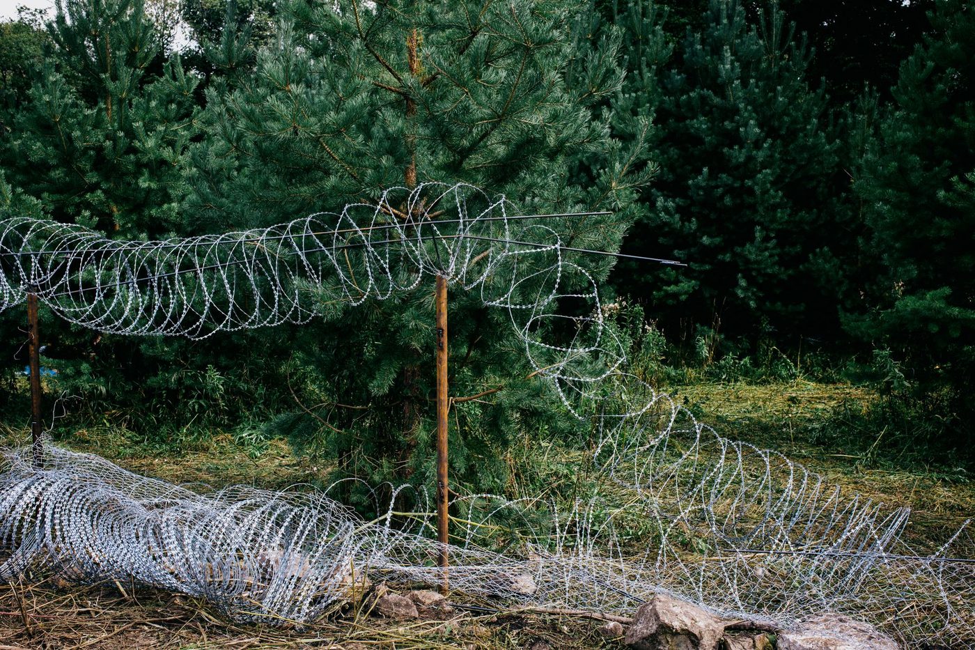 Estland doet 's nachts grenzen dicht: niemand meer in of uit Rusland