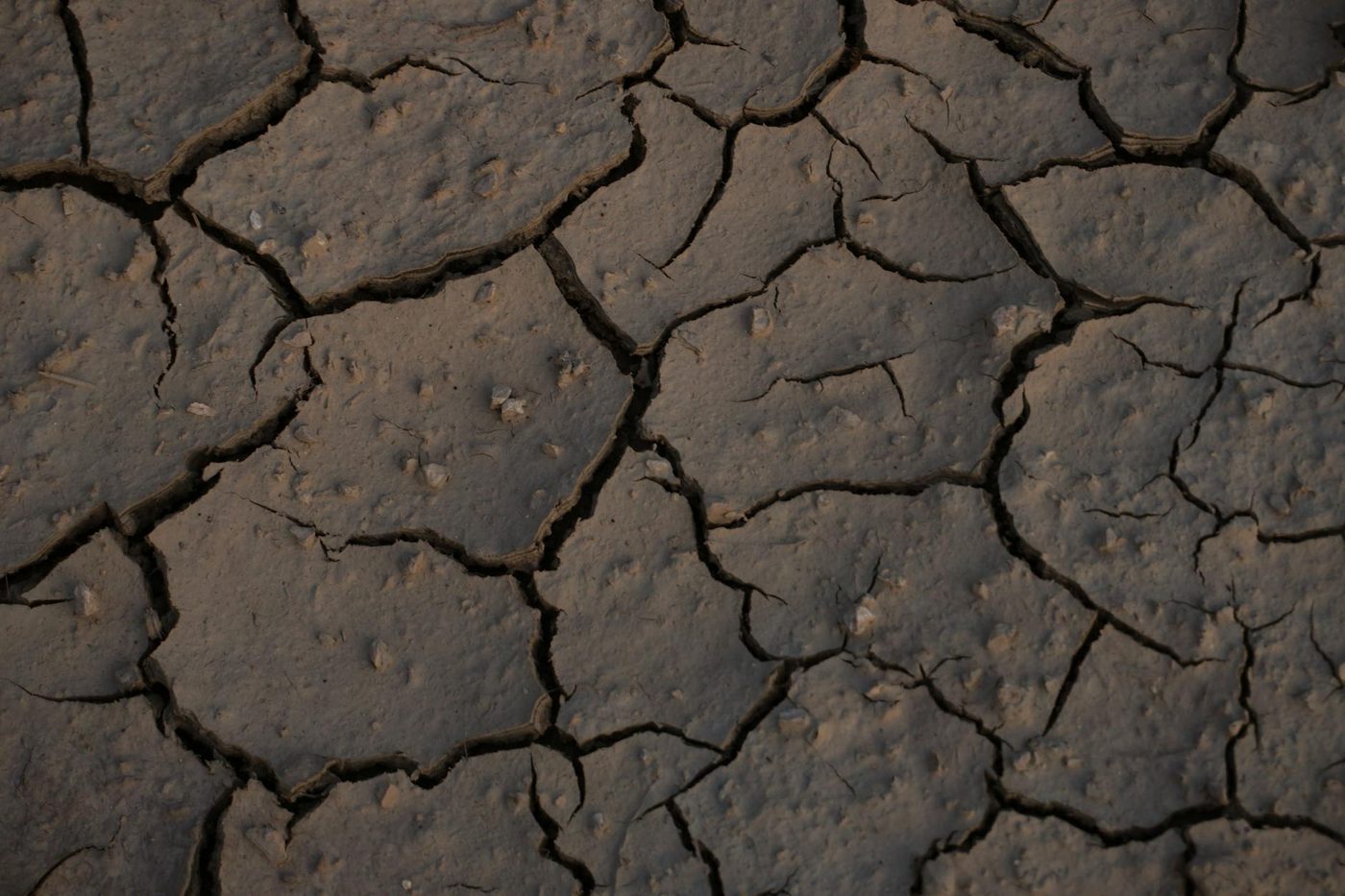 Regenachtige omstandigheden in het oosten, droogte in het westen: Weerbeeld in de Benelux verdeeld