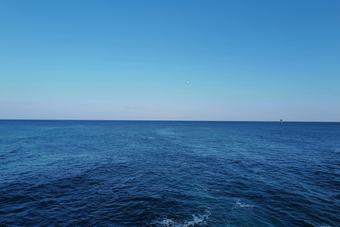 Vijf dagen dobberen op zee in een koelbox: hoe deze vissers het overleefden