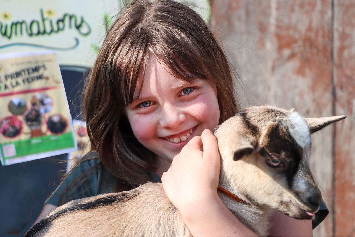 Labo bevestigt: 8 kinderen ernstig ziek door STEC-bacterie van kinderboerderij Mikerf in Brasschaat