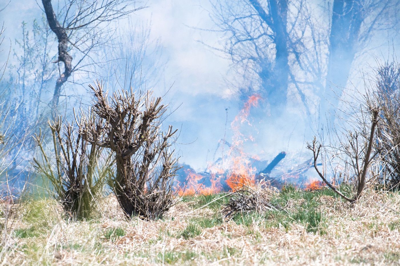 Weidebrand Vosselaar ondanks regen: brandweer slaat alarm voor natuurgebieden