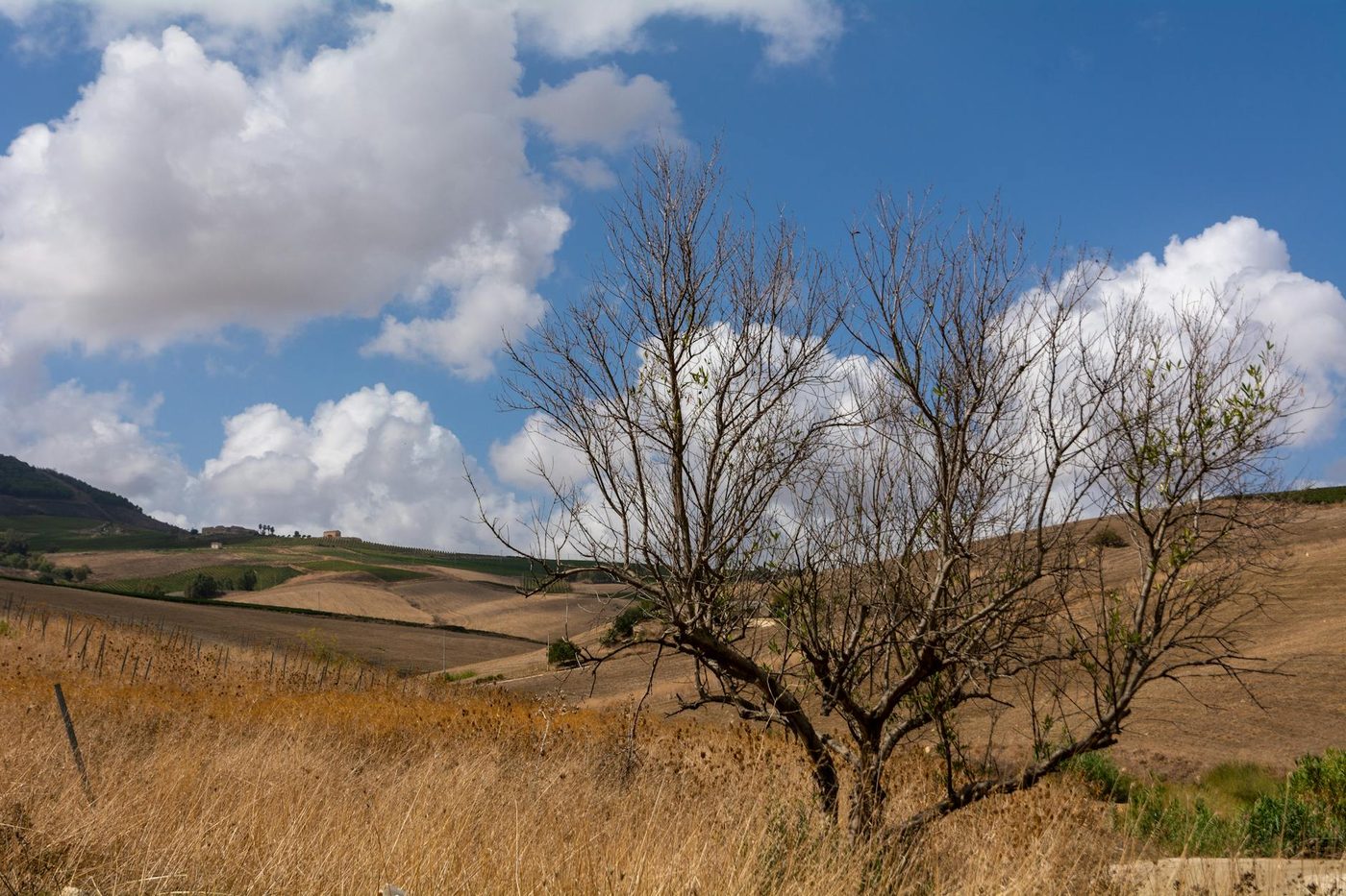 Wisselvallig voorjaar en strengere regels: landbouw en natuur onder druk