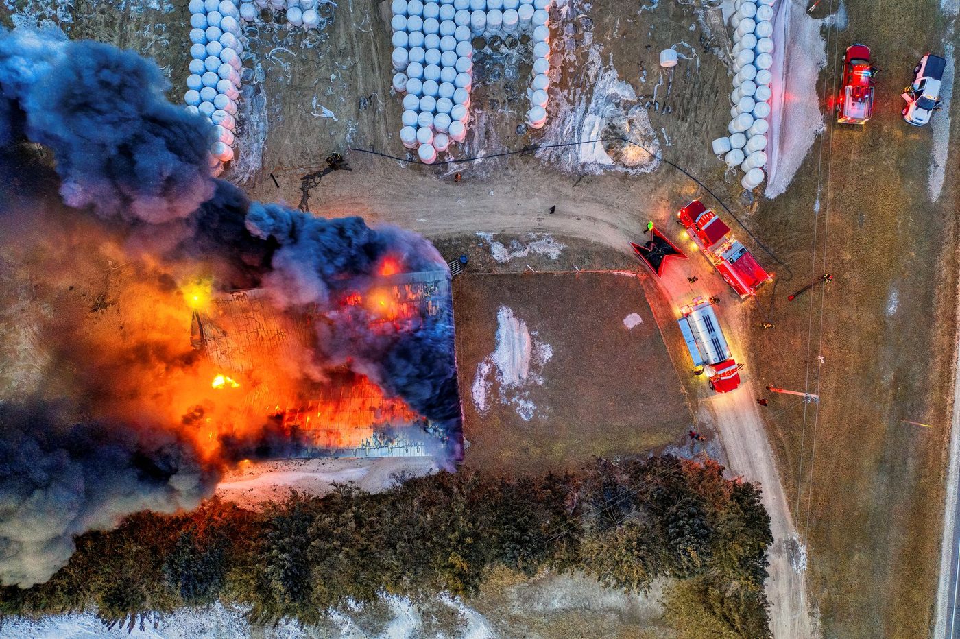 Vier dieren komen om bij brand in schuur in Bierbeek