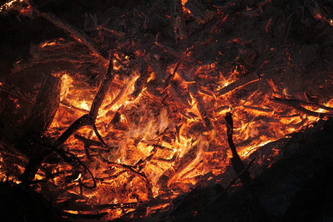 Tragische stalbrand in Maaseik eist zeven paardenlevens, eigenaar zwaargewond
