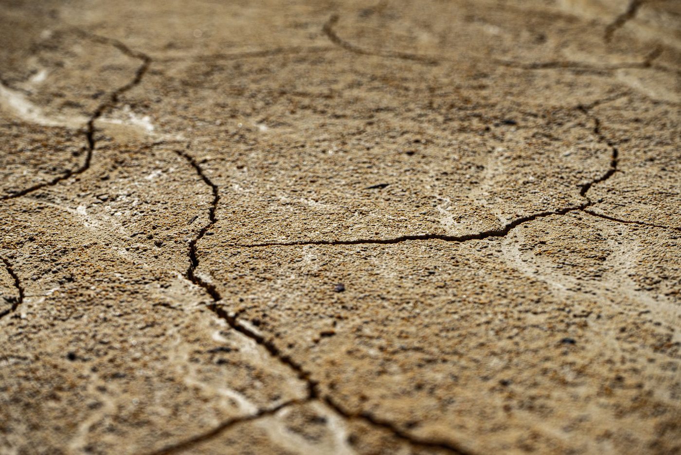 Brussel kondigt code geel af vanwege aanhoudende droogte en brandgevaar