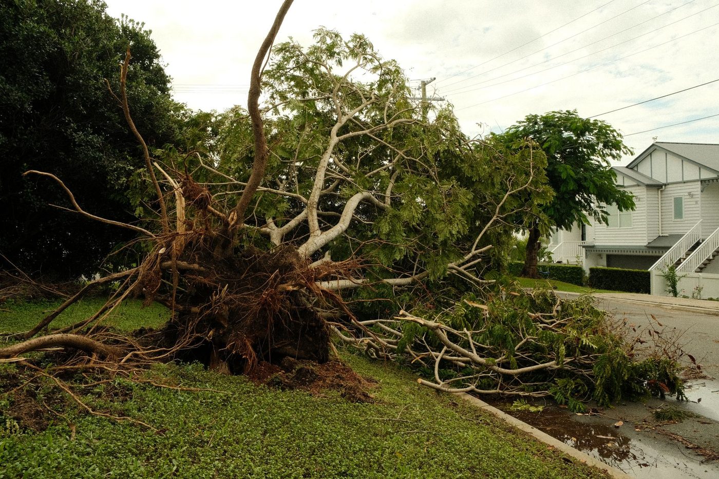 Storm Boelo raast over het VK: twee mannen komen om door omvallende bomen