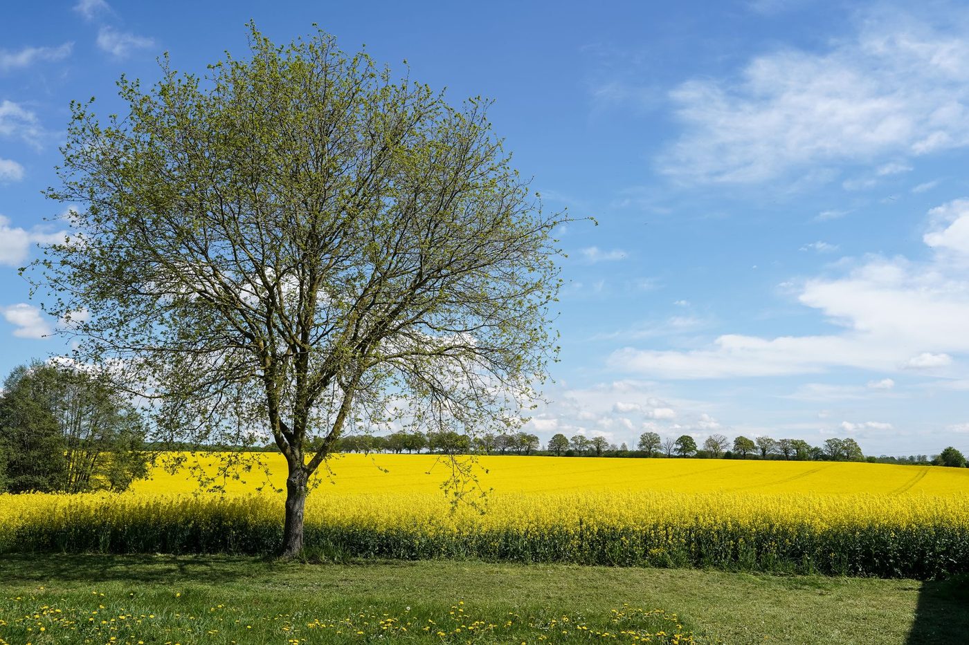 Zonnig en zacht weekend in het vooruitzicht