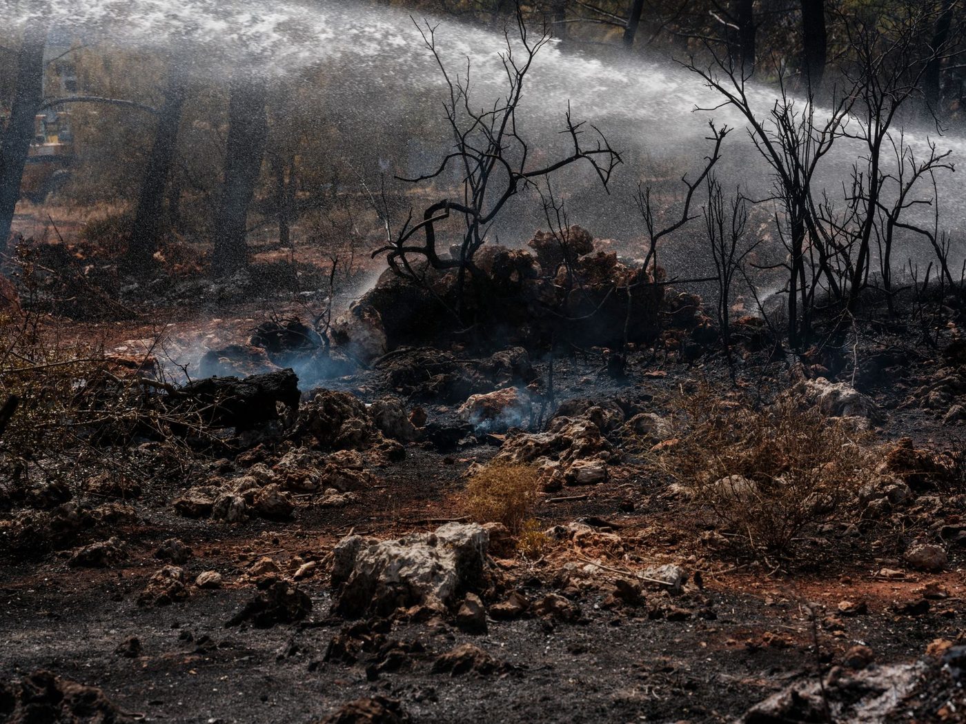 Extreme hittegolf veroorzaakt reeks zware natuurbranden in Zuid-Europa