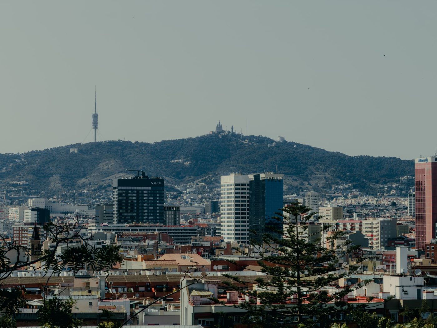 Vermeende drugsbaas uit Ravels opgepakt in Barcelona
