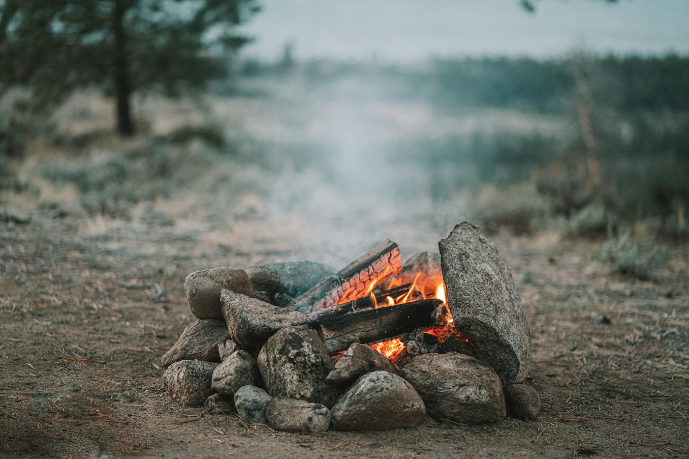 Overlevingsstrategieën van neergehaalde piloten in vijandig gebied