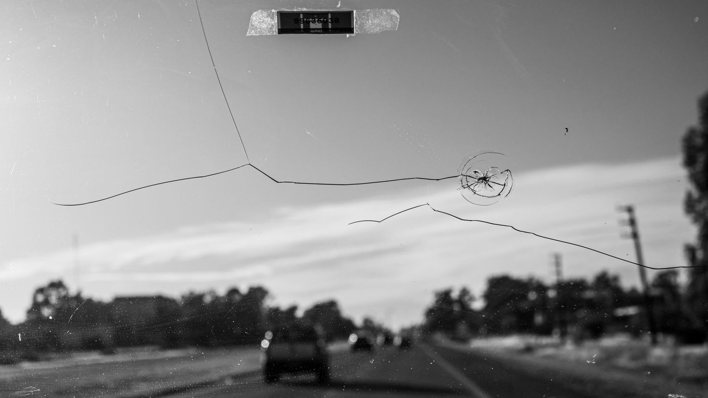 Gans doorboort voorruit op A2, passagier gewond naar ziekenhuis