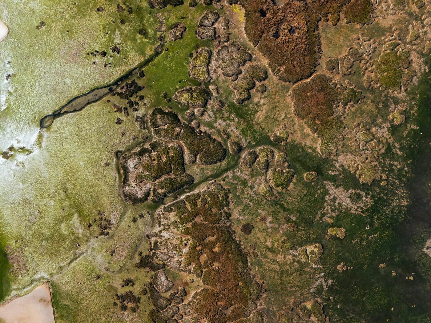 NASA deelt eerste beelden van de aarde vanuit Artemis II