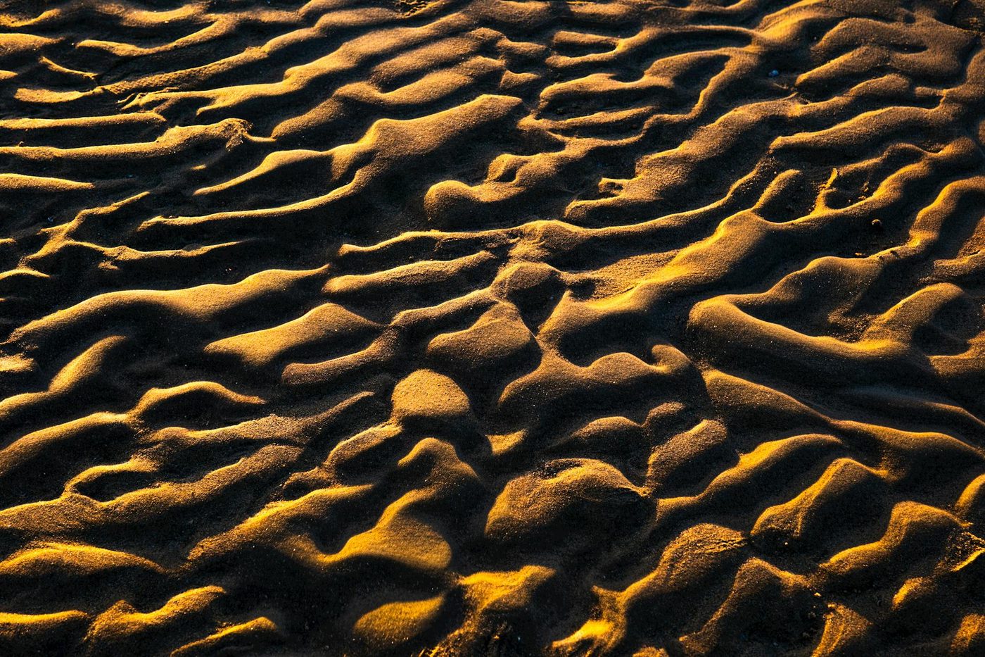 Fotograaf Jon McCormack bundelt spectaculaire beelden van natuurlijke patronen in nieuw boek