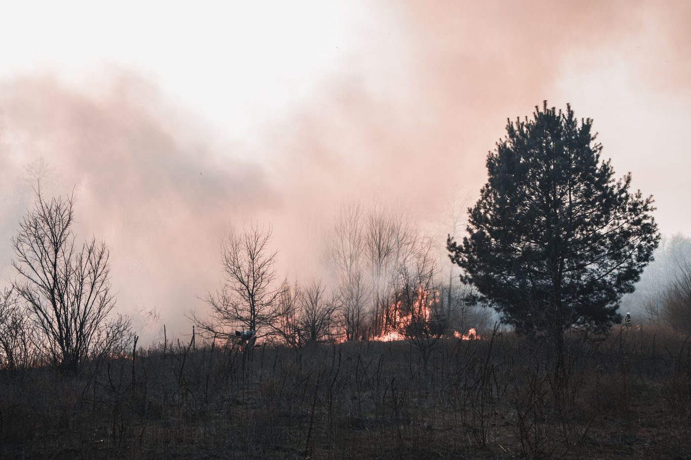 Honderden bewoners geëvacueerd door woeste bosbrand in Valencia