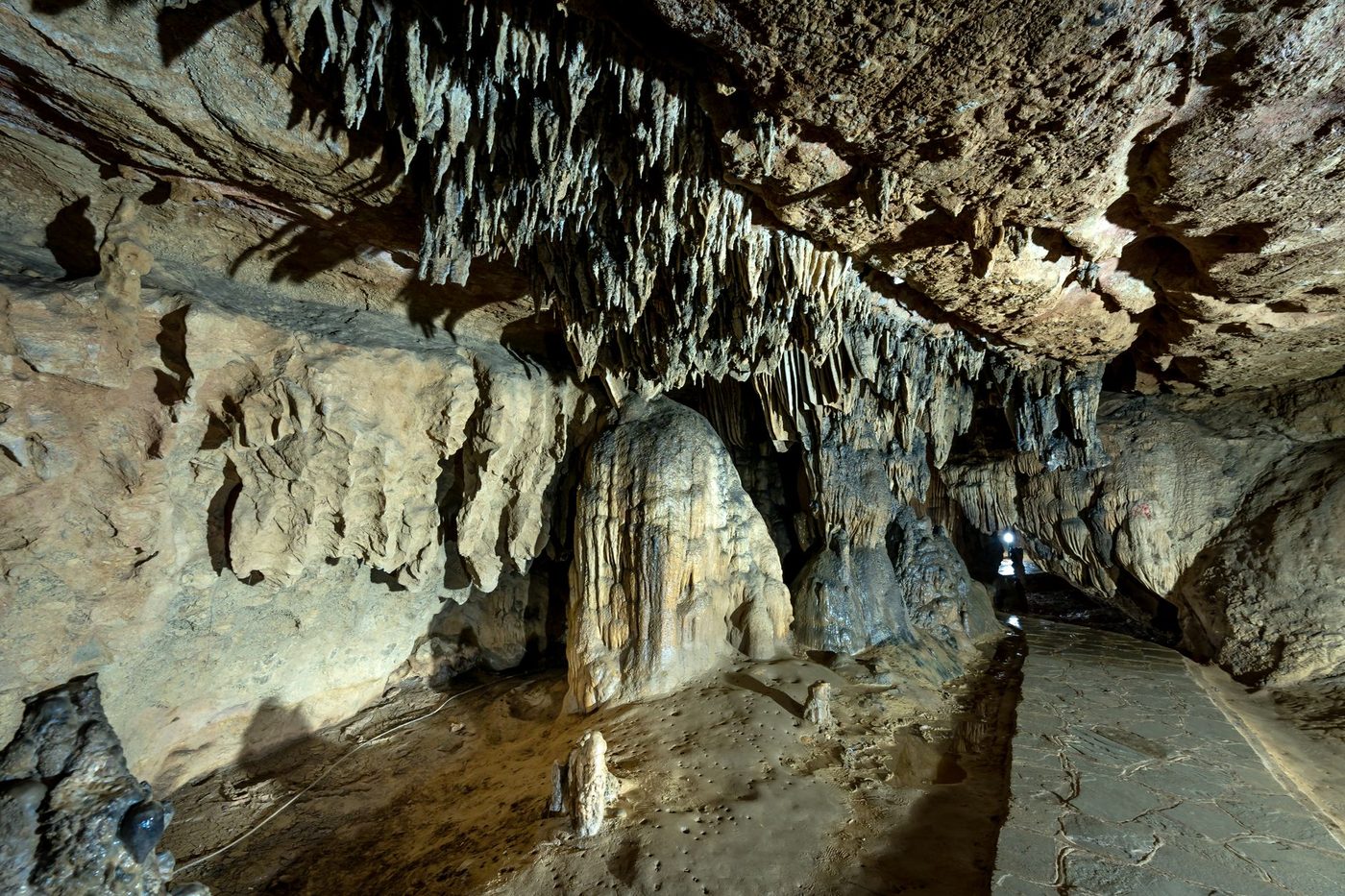 Neanderthaler mogelijk gedood door houten speer