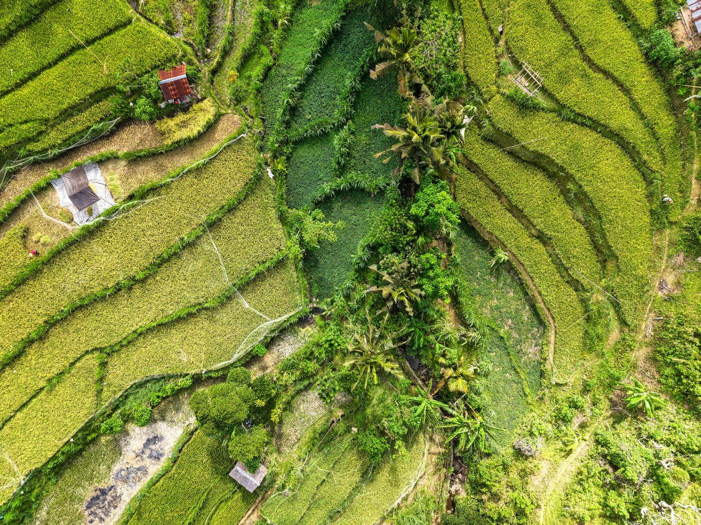 Klimaatboerin Lien Vrijders waarschuwt voor de verborgen kosten van goedkoop voedsel