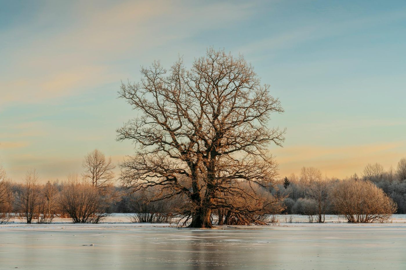 Zelensky overweegt paasbestand en reageert op oproep tot de-escalatie oliesector