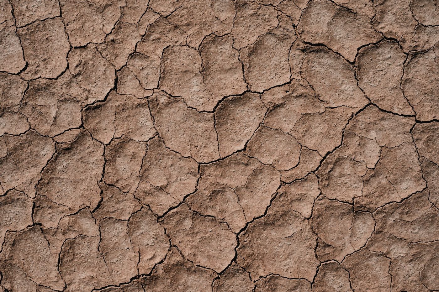 Brussel in code geel door droogte: inwoners moeten water besparen