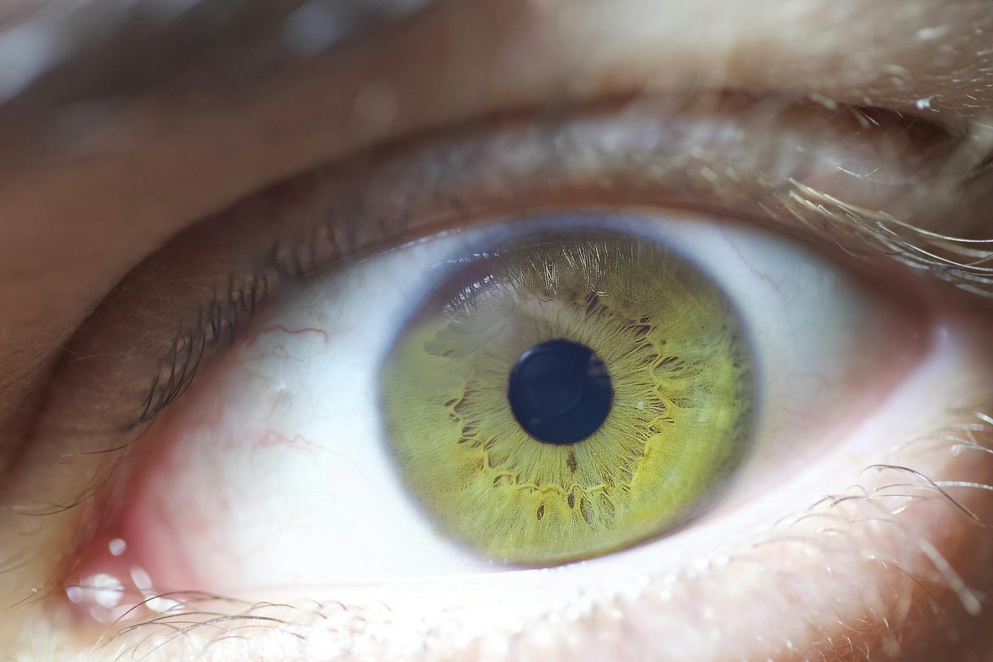 Toekomstige biometrische verificatie: de discussie rondom iris-scans bij digitale platforms