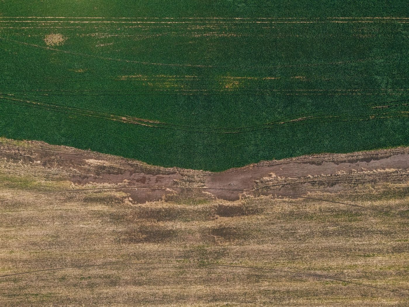 Pidpa biedt gratis spoelwater aan Kempense boeren tegen droogte