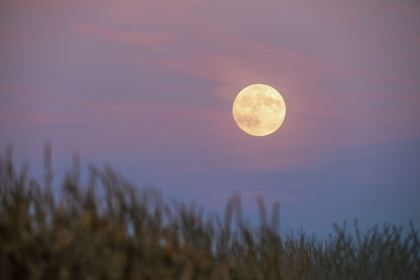 Harvest Moon 2026: Eerste volle maan van de herfst verschijnt naast Saturnus