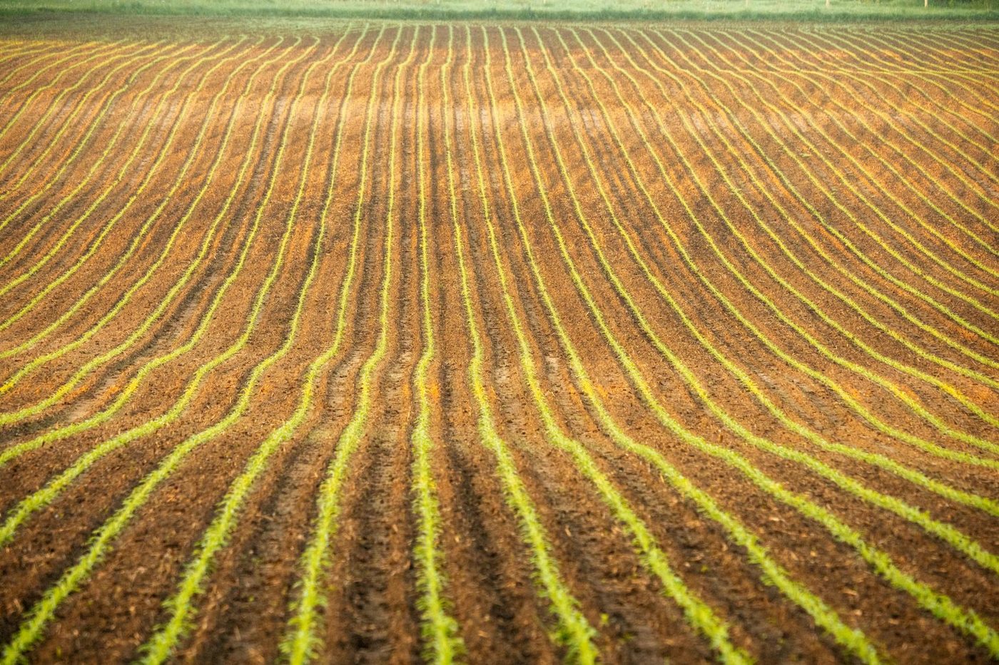 Intensieve grondbewerking schaadt bodemweerbaarheid tegen droogte en overstromingen
