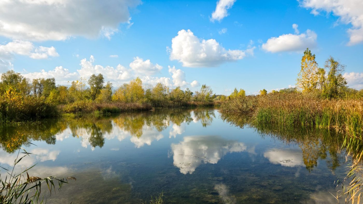 Virtuele natuur en klassieke muziek helpen bij het verlagen van bloeddruk in ziekenhuizen