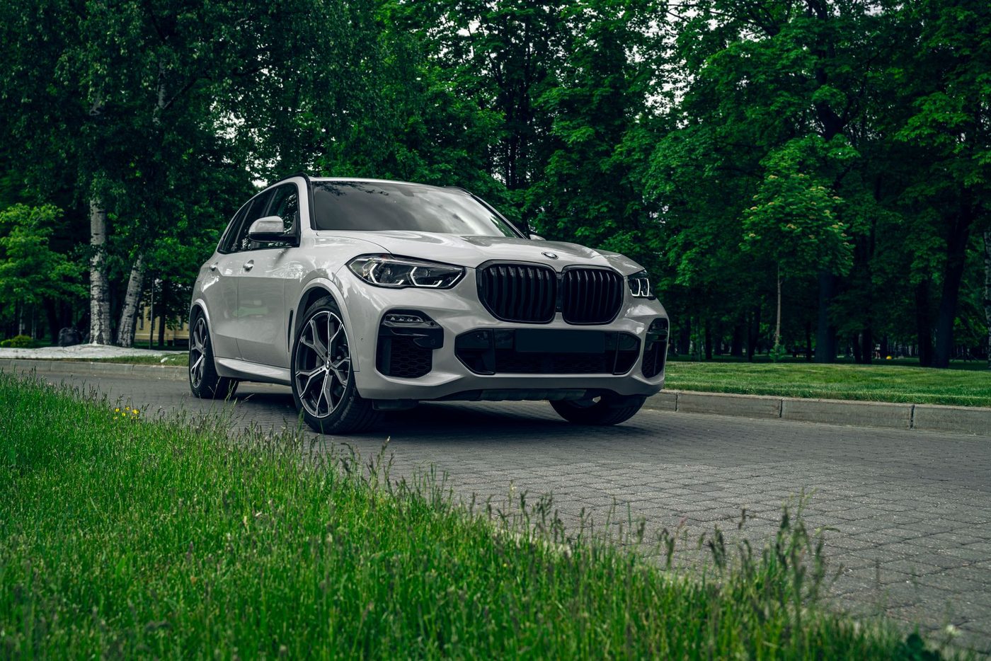 BMW weigert dienstwagen voor AfD-topman — partij vraagt nu Elon Musk om een Tesla
