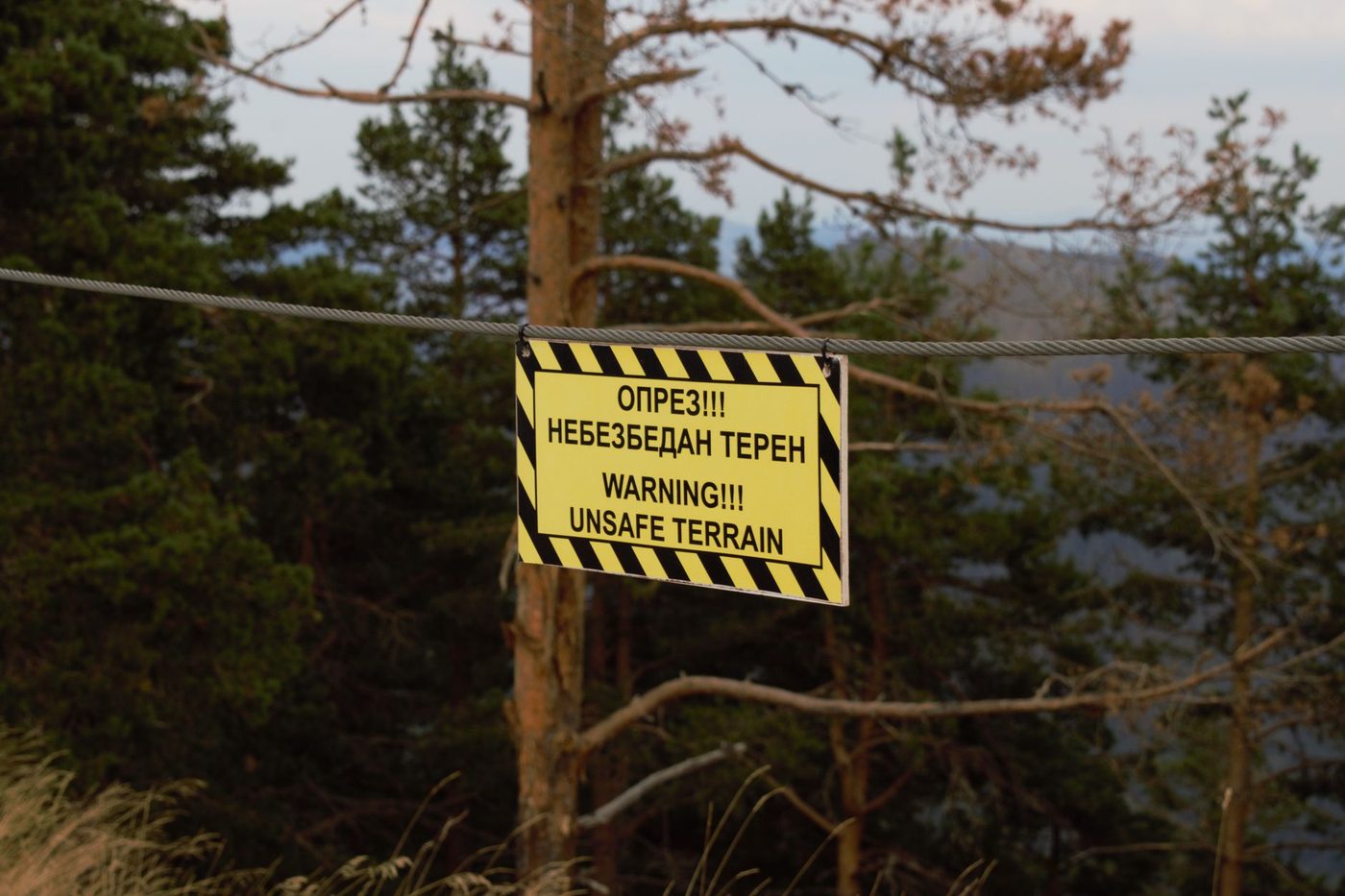 Zoektocht naar vermiste postbode levert onbekende botresten op: 'Nieuw mysterie in Roggebotsebos'