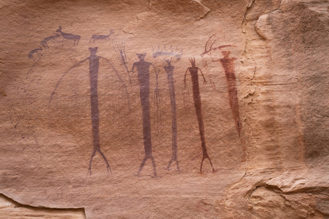 Complexere sociale patronen bij vermenging tussen vroege mensen en Neanderthalers