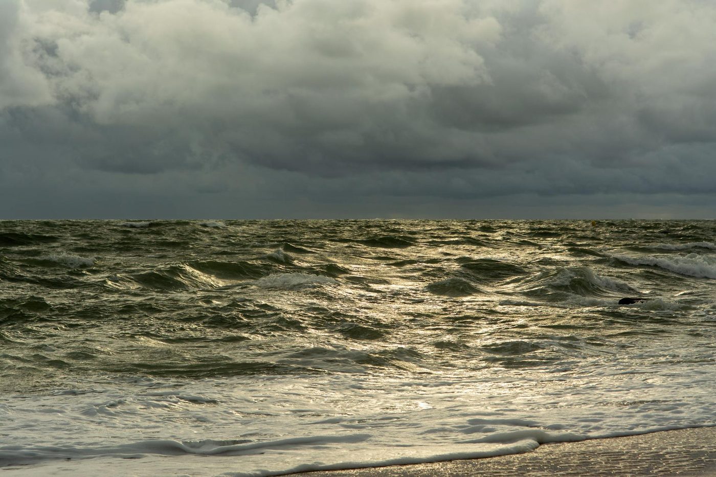 Tieners dobberen 100 meter uit kust in Blankenberge: redders springen in onderbroek in zee
