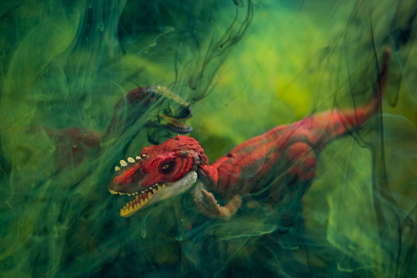 Wetenschappers stellen vast dat Tyrannosaurus rex warmbloedig was
