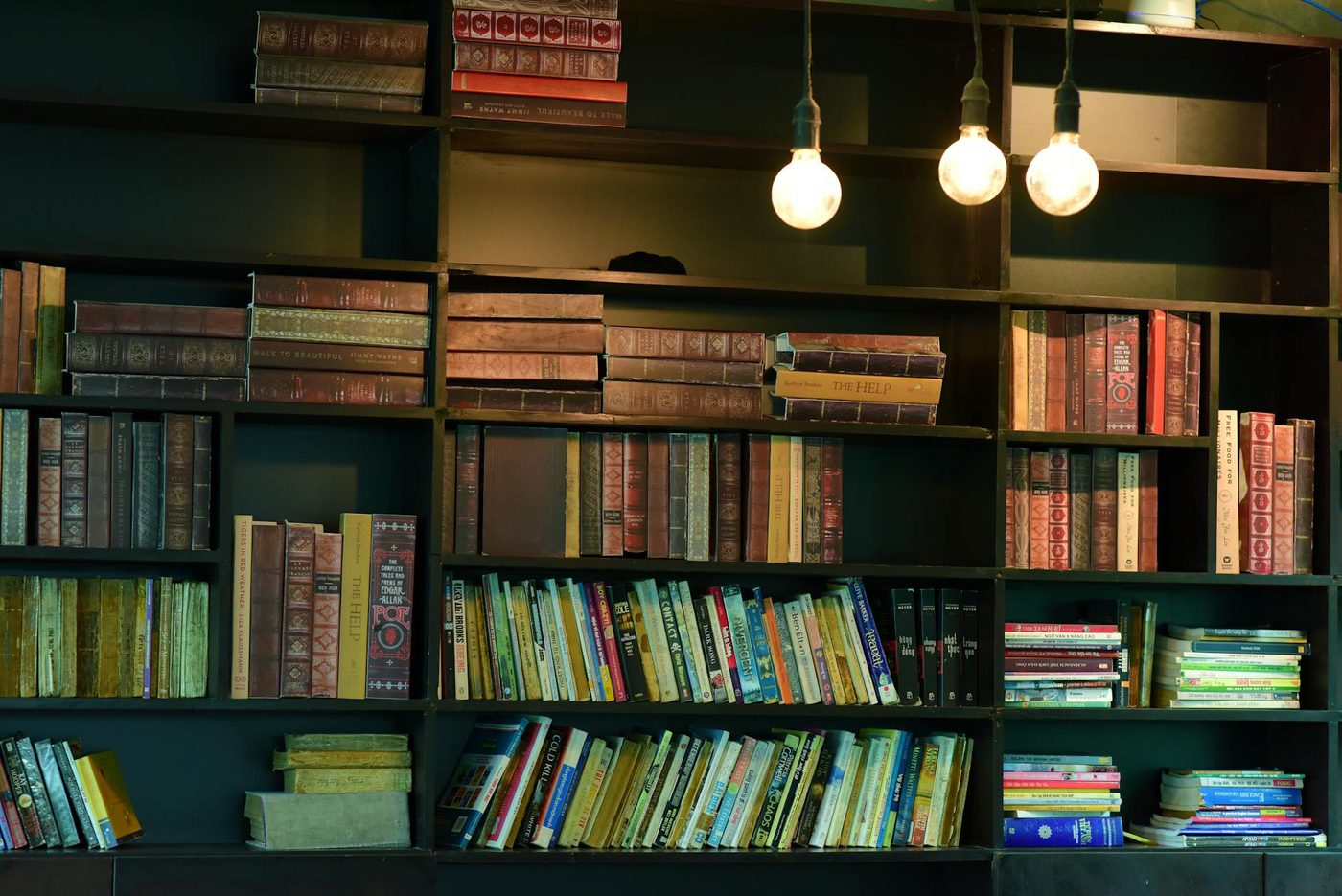 Willem (9) deelt zijn favoriete plek: Bib Joske in Sint-Joost-ten-Node