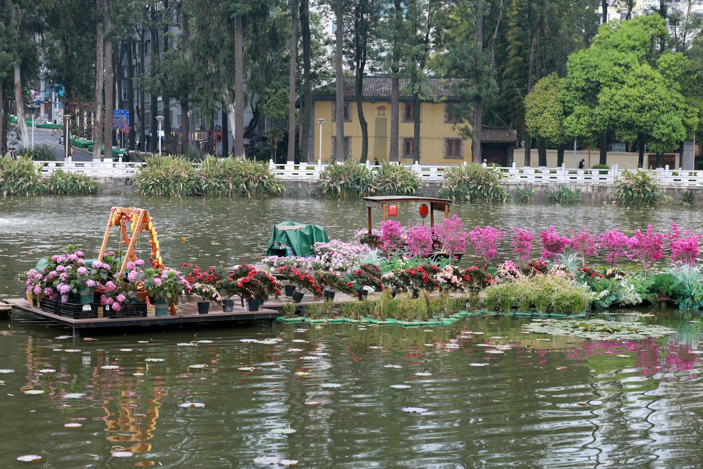 Lentekriebels: vijf tips voor  een bloeiende  stadstuin in Brussel